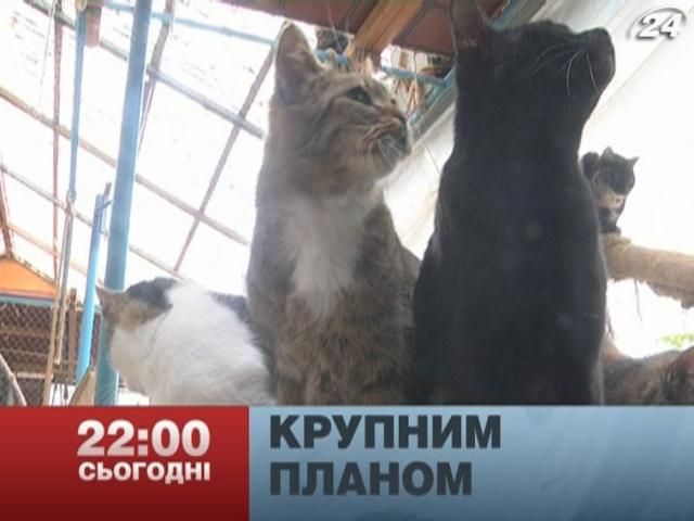 Анонс. "Крупным планом": Спасет ли Европа животных в Украине? Анонс. "Крупным планом": Спасет ли Европа животных в Украине?