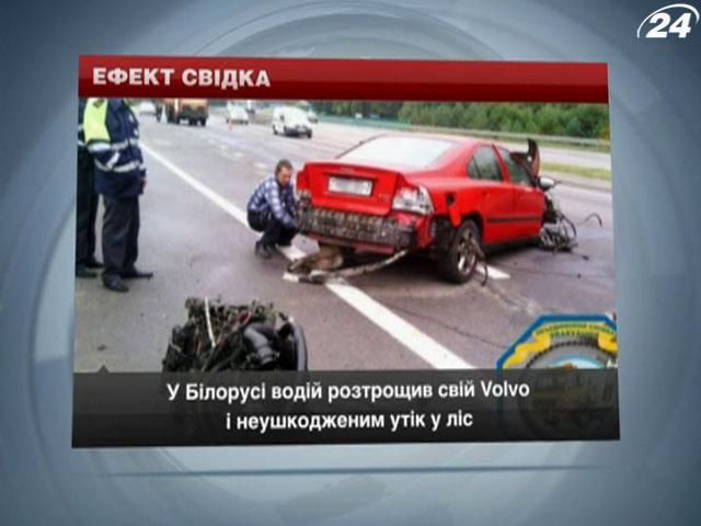 В Беларуси водитель разбил свой ​​Volvo и невредимым убежал в лес