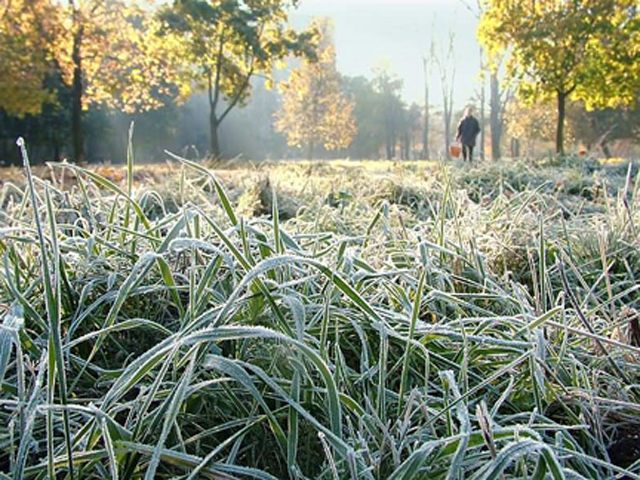 С 26 сентября в Украине начнутся первые заморозки