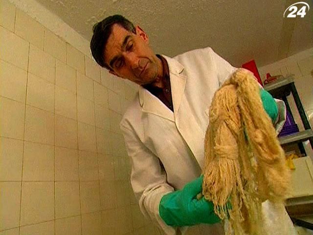 Как из овечьих внутренностей делают струны для скрипки? Как из овечьих внутренностей делают струны для скрипки?