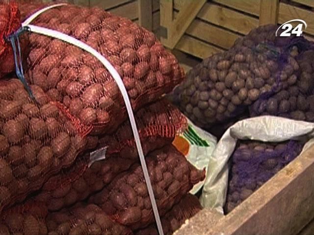 Азаров переконує, що картоплі в Україні - два річних запаси