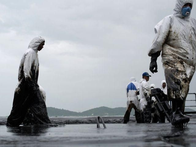 Биологи нашли бактерию-ликвидатора нефтяных загрязнений Биологи нашли бактерию-ликвидатора нефтяных загрязнений