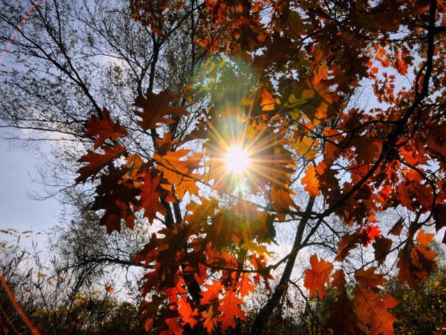 В останній день вересня українців потішить сонце В останній день вересня українців потішить сонце