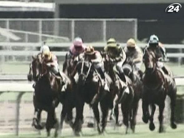 Професія жокея: видовищні скачки та високі ставки Професія жокея: видовищні скачки та високі ставки