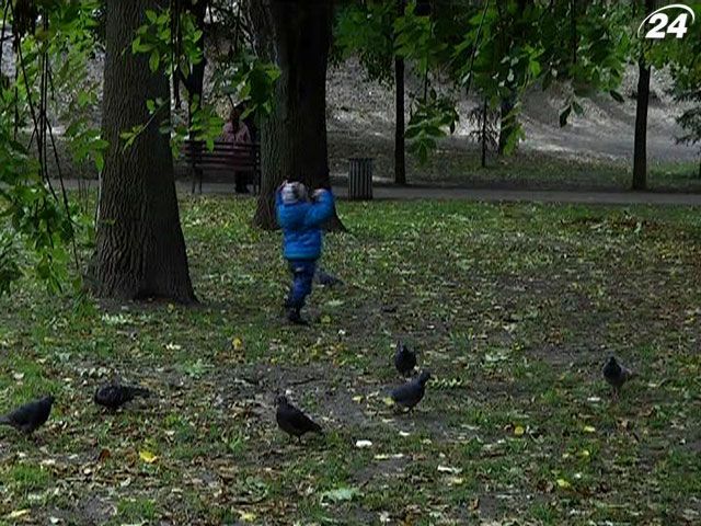 После дождей и мокрого снега в Украину придет "бабье лето" После дождей и мокрого снега в Украину придет "бабье лето"