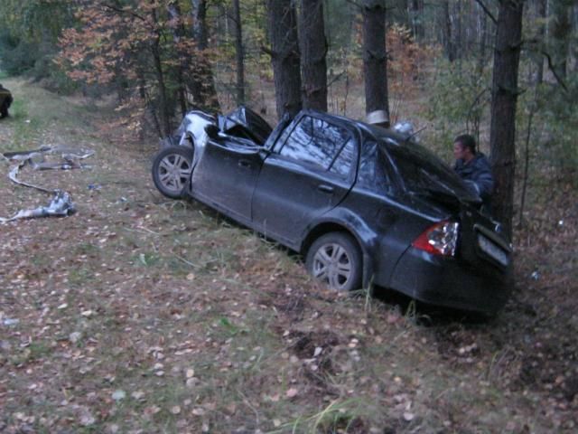На Чернігівщині авто в'їхало у дерево: загинув водій (Фото) 