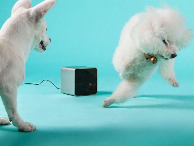 Український стартап побив рекорд за збором коштів Український стартап побив рекорд за збором коштів