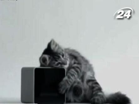 Українці шокували ґаджетом для тваринок, а японці дивують окулярами-перекладачем Українці шокували ґаджетом для тваринок, а японці дивують окулярами-перекладачем