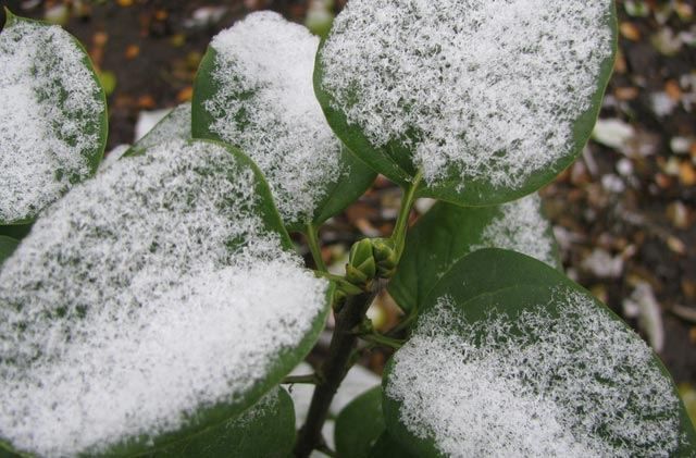 Сейчас снежит, а через неделю будет до +20, - синоптик OPOGODE.UA Сейчас снежит, а через неделю будет до +20, - синоптик OPOGODE.UA