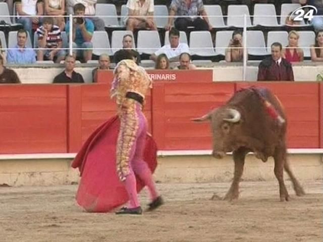 Испанцы собрали 600 тысяч подписей за возобновление корриды Испанцы собрали 600 тысяч подписей за возобновление корриды