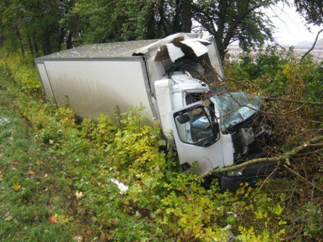 На Полтавщині вантажівка в'їхала у дерево: загинули 2 людини (Фото) 