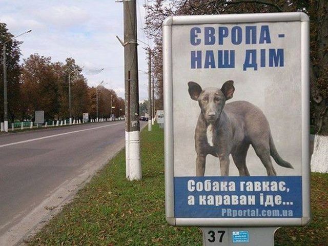 Похожего на Путина пса использовали в рекламе евроинтеграции (Фото)