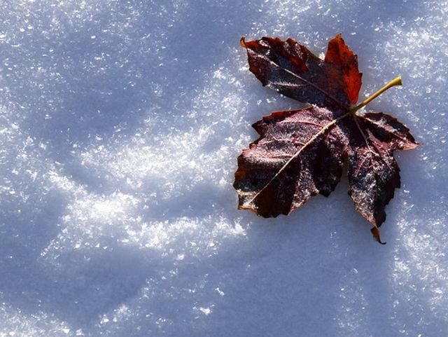 Синоптик попереджає - цьогорічна зима затягнеться до кінця квітня 