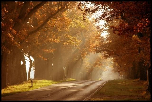 Начало недели будет теплым: +15 и без осадков Начало недели будет теплым: +15 и без осадков