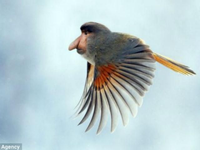 Норвежский "Франкенштейн" создает животных-гибридов (Фото) Норвежский "Франкенштейн" создает животных-гибридов (Фото)