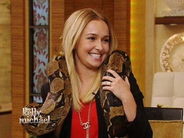 Хайден Панеттьєрі підтвердила, що заручена із Кличком-молодшим (Відео) Хайден Панеттьєрі підтвердила, що заручена із Кличком-молодшим (Відео)