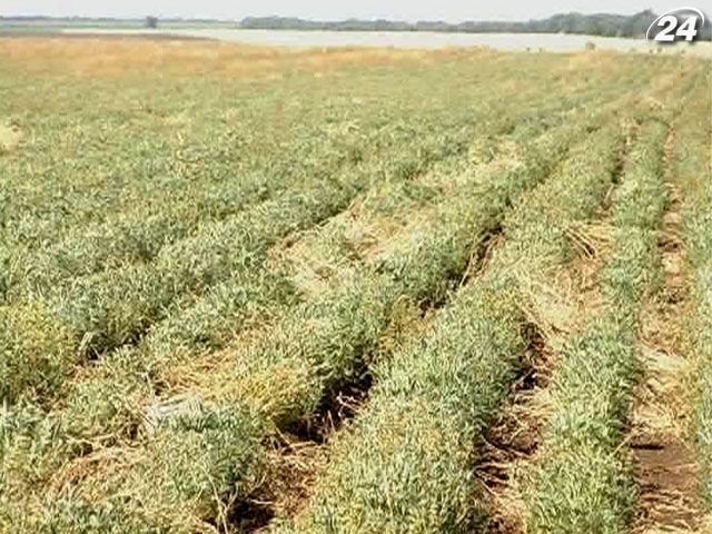 Депутати не дозволили передати Зембанку державну землю Депутати не дозволили передати Зембанку державну землю