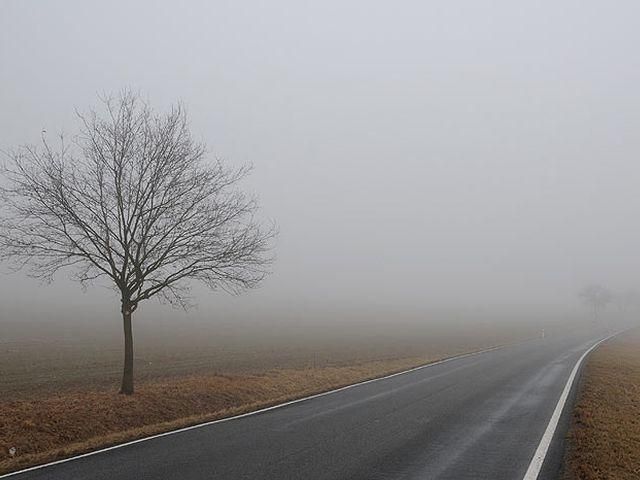 Выходные в Украине будут пасмурными и теплыми Выходные в Украине будут пасмурными и теплыми