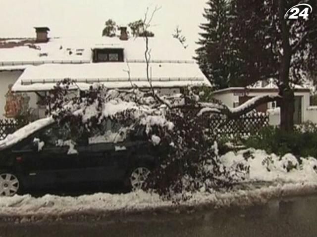 Перший сніг у Німеччині повалив дерева