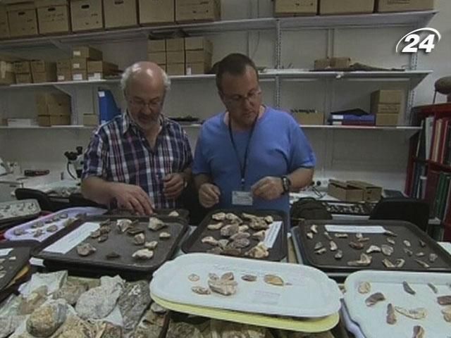 Первобытные люди занимались переработкой отходов, - ученые Первобытные люди занимались переработкой отходов, - ученые