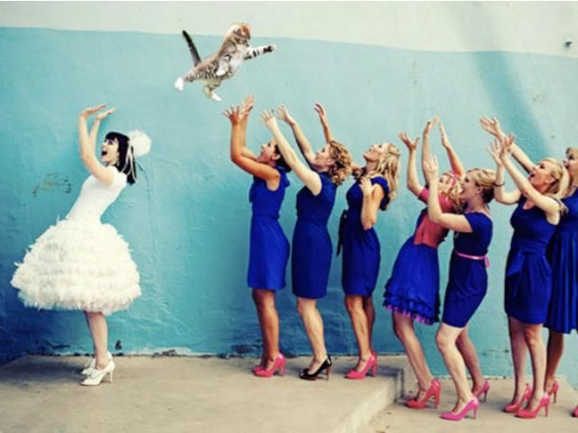 Вместо свадебного букета - кот (Фото)