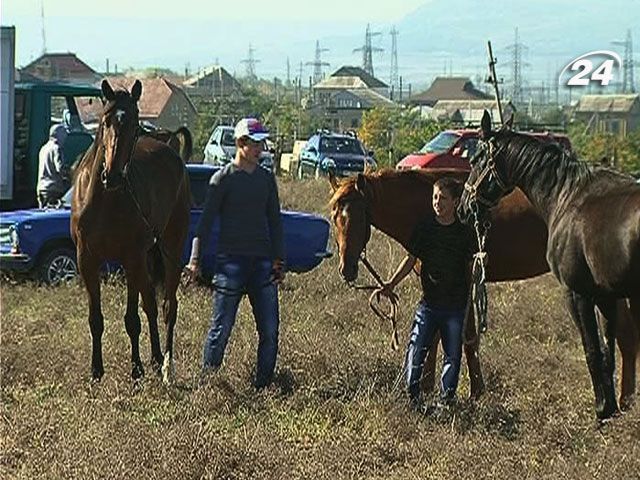 В Крыму хотят возродить традиционные конные скачки