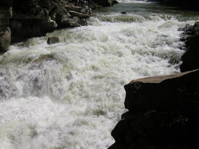 З річки Прут вийняли тіло молодої дівчини З річки Прут вийняли тіло молодої дівчини