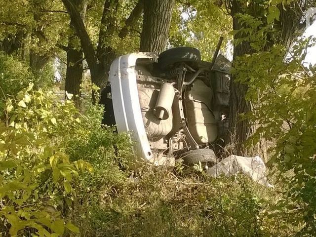 Трагедія на Донеччині: легковик врізався у дерево, забравши 4 життя (Фото)