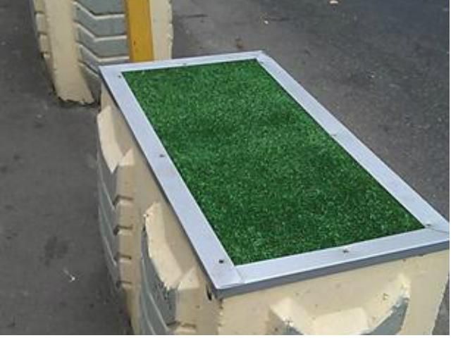 На київських клумбах зелениться синтетичний газон (Фото) На київських клумбах зелениться синтетичний газон (Фото)