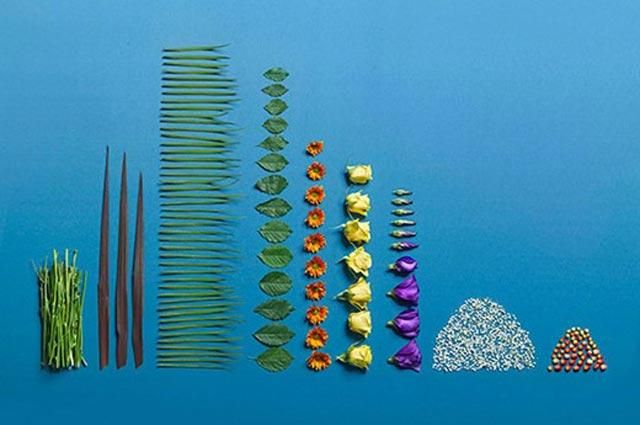 Як виглядають речі, якщо їх акуратно розкласти Як виглядають речі, якщо їх акуратно розкласти