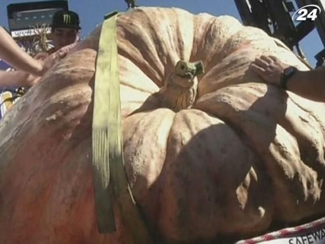 Калифорниец вырастил 900-килограммовую тыкву
