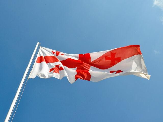 Экс-министра обороны Грузии задержали во Франции Экс-министра обороны Грузии задержали во Франции