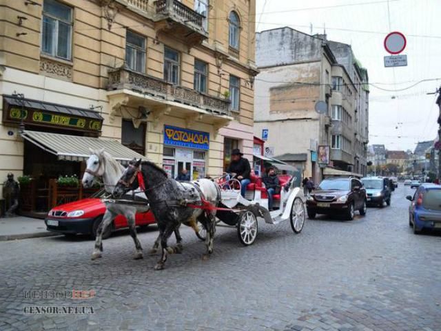 Во Львове "Лексус" въехал в туристическую повозку (Фото)