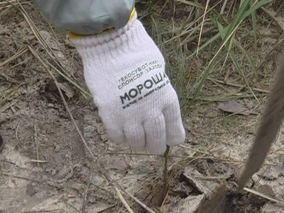 Очистить окружающую среду Очистить окружающую среду