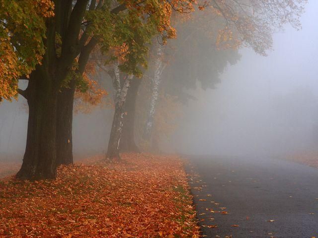 Завтра в Україні очікують дощі й тумани Завтра в Україні очікують дощі й тумани