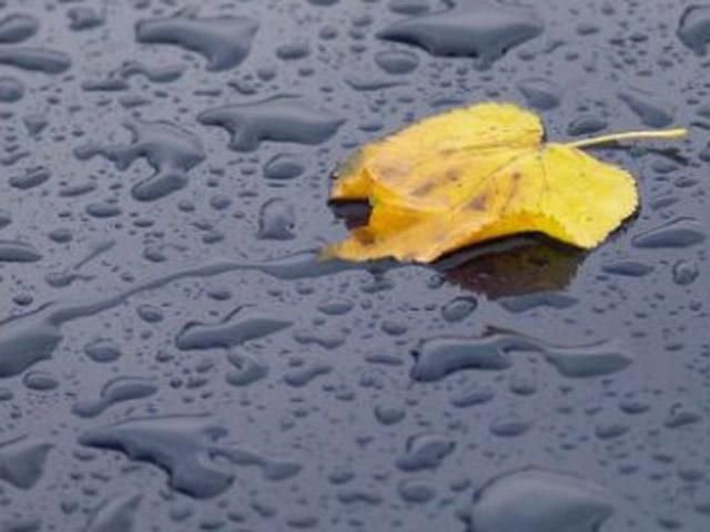 В Україні оголосили штормове попередження - 17 жовтня 2013 - Телеканал новин 24 В Україні оголосили штормове попередження - 17 жовтня 2013 - Телеканал новин 24