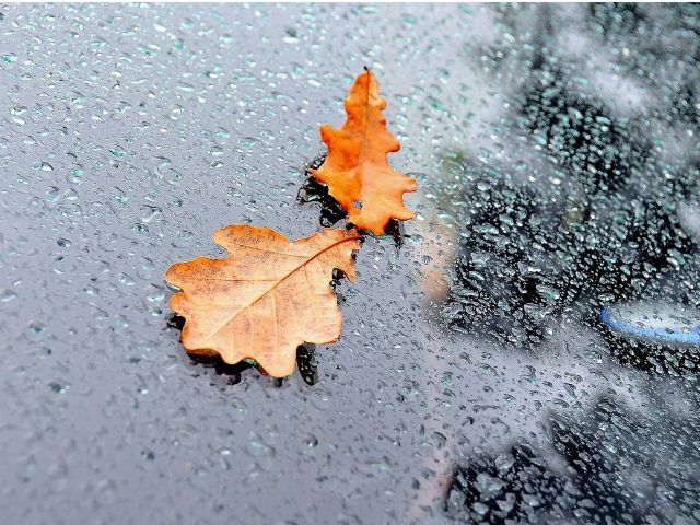 Завтра в Украине циклон вызовет ухудшение погоды Завтра в Украине циклон вызовет ухудшение погоды