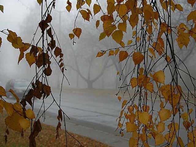 На выходных в Украине ожидается похолодание На выходных в Украине ожидается похолодание