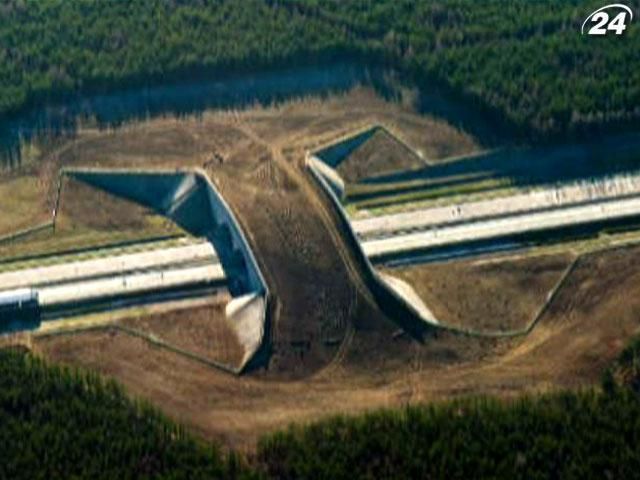 Самые абсурдные проекты Германии: бюджетные деньги идут на мосты для мышей