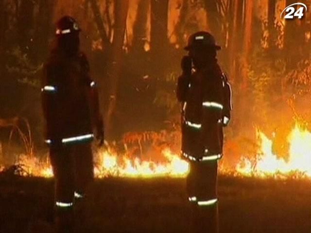 В Австралії через лісові пожежі оголошено надзвичайний стан