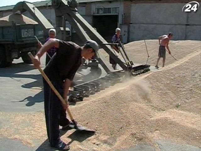 Правительство приняло стратегию развития агросектора с завышенными показателями Правительство приняло стратегию развития агросектора с завышенными показателями