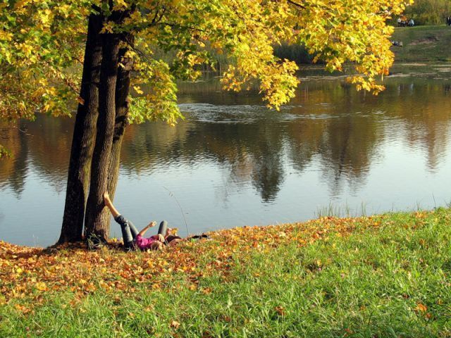 Рекордне тепло в Україні триватиме до листопада