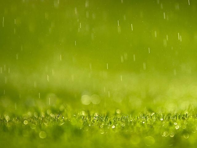 Сьогодні "Шахтар" зіграє з "Байєром" під час дощу та штормового вітру Сьогодні "Шахтар" зіграє з "Байєром" під час дощу та штормового вітру