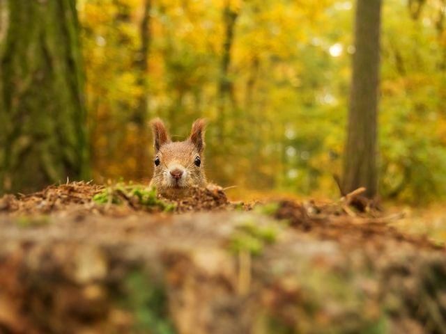 Завтра в Украине от заморозков до +25 градусов Завтра в Украине от заморозков до +25 градусов