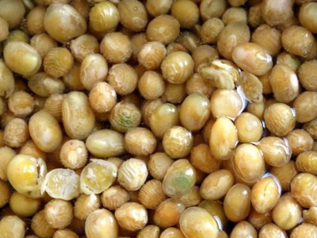 Правительство предлагает разрешить ГМО Правительство предлагает разрешить ГМО