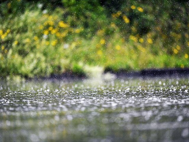 Ливень грозит сорвать матч "Днепр" - "Пасуш де Феррейра" Ливень грозит сорвать матч "Днепр" - "Пасуш де Феррейра"