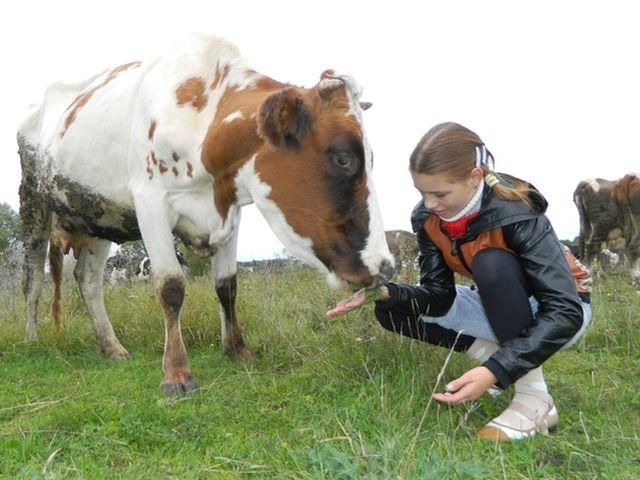 Українську школярку назвали найкращим кінематографістом світу (Фото. Відео) Українську школярку назвали найкращим кінематографістом світу (Фото. Відео)