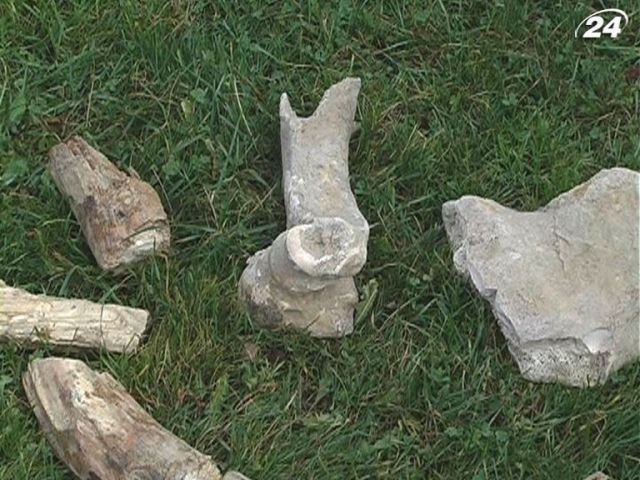 Рыбаки наткнулись на остатки жилища из костей мамонтов