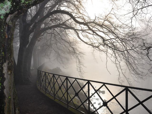 Україну вкриє густий туман Україну вкриє густий туман