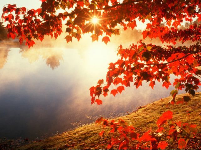 В Україні зафіксували кілька температурних рекордів В Україні зафіксували кілька температурних рекордів